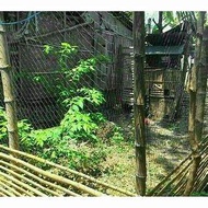 jaring untuk pagar kandang ayam bebek panjang 10 sampai 50meter