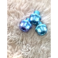 Salaya GR5 mirror screw