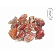 Red Agate Mozambican natural rough collectible display, study study...