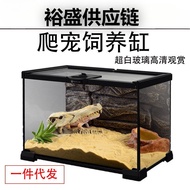 Reptile Pet Glass Tank Stackable Lizard Gecko Beetle Spider Feeding Rainforest Landscaping Breeding 