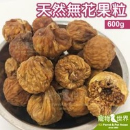 缺《寵物鳥世界》天然無花果粒/無花果乾(1斤/600g)│無添加 鸚鵡鳥飼料鳥點心 天然果乾 水果乾 蔬果乾 YZ028