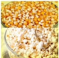 POPCORN JAGUNG MANIS KERING 1 KG / JAGUNG KERING POP CORN