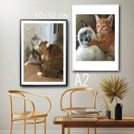 A2 Photo Frame Size 60x42cm Available In A Variety Of Colors Beautiful Wall Decoration