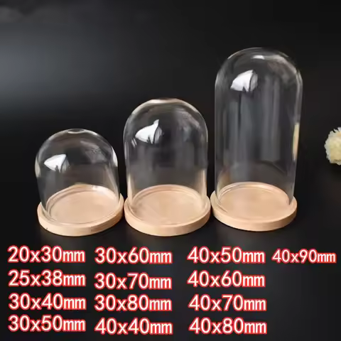 15pcs Clear Glass Dome Cloche With Wooden Base Glass Bell Jar Display Dome For Plants Succulents Fai