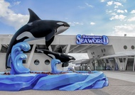 Tiket Masuk Kamogawa Sea World di Chiba
