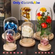 ELO11 Glass cloche Terrarium Tabletop Fairy Lights Glass Vase Terrarium Transparent Bottle Flower Storage box