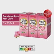 Pokka rose bandung packet drinks beverage Bandung rose milk drink prata shop drink beverage flavoured milk beverage UHT milk