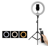 全城熱賣 - 無線遙控補光燈-360環形燈 壹機位+2.1m落地燈架