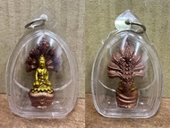 七龙药师佛 Phra Kring Nak Prok（包好防水壳）