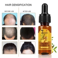 ZWM【HOT Doll7 DAYS Effective Natural Ginger Plant Serum Hair Loss Repair Hair Loss Product Series Ha