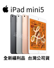 ✅ipad mini5 64G wifi金色