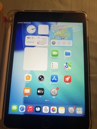 iPad mini 5 64GB cellular