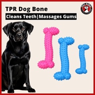 Pet Toys Dog Toys Clean Teeth Puppy Cats Chew Toys for Dogs Resistant To Bite Bone Molar Thorn
