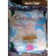 Cattaleya Premium Dinorado Rice 5kg