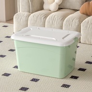 Large Capacity Storage Box