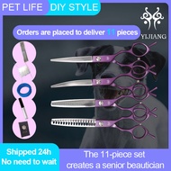 AA Yijiang Professional 6.5 Inch Pet Grooming Shears Set Novice Cut