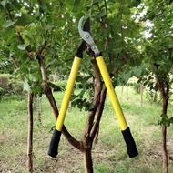 BABEDUO Wholesale Price Big Gardening Wood/Sponge Handle Grass Scissor Cutter Shears