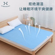 Moisture Absorption Moisture Proof Pad Tatami Moisture-Proof Mat Foldable Bedroom Dehumidifying Adult Student Dormitory Dehumidifying Mattress