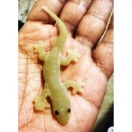 1 pcs Look Real lizard/ Cicak mainan/cicak tiruan/ prank lizard