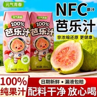 Vitality Youth 100% Pure Guava Juice Whole Box 12 Bottles NFC Original Juice 0 Additives Freshly Squ