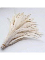 10入組公雞尾巴羽毛，適用於DIY手工藝品、服裝、帽子、羽毛飾品