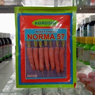 Benih Wortel NORMA 25.000 Biji Agrosid