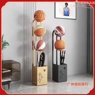籃球置物架家用桌球羽毛球運動健身體育用品收納筐籃球足球收納架