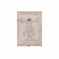 義大利 IFI 明信片 維特魯威人