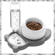 Dog Cat Bowls, Tilted Cat Food and Water Bowl Set, Raised Ceramic Cat Bowl with Automatic Water Dispenser Bottle