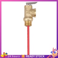 【HOT SALE】 WYA-20 99C 102PSI 210F WYA-20 0.7Mpa to Valve  3/4 Inch Temperature and Pressure Relief V