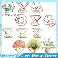 【Tv39qw2oyr】12Pcs Mini Air Plant Stand Metal Geometric Air Plant Display Stand Geometric Air Plant Container Mini Air Plant Holders