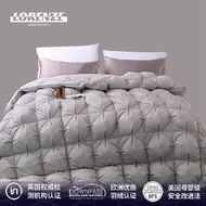 ผ้าห่มขนเป็ด 95% ผ้าห่มฤดูใบไม้ผลิและฤดูใบไม้ร่วง ผ้าห่มฤดูหนาว อบอุ่น หนา โรงแรมห้าดาว ผ้าห่มขนเป็ด