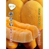 Yellow Skin Cantaloupe Seeds Super Sweet Cantaloupe Seeds Four Seasons Balcony Potted High-Produced 