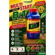 HORMON PENGGALAK AKAR VITAMIN B-1