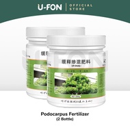 Podocarpus Special Fertilizer Gardening Organic Fertilizer Baja Bonsai