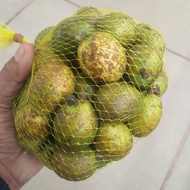 BUAH MATOA HIJAU 1 KG