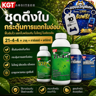 KGT ชุดดึงใบ กระตุ้นการแตกยอดอ่อน ใบใหญ่ ใบเขียวเข้ม ฟื้นต้นหลังเก็บเกี่ยว 21-4-4 + วาคุ + การ์เตอร์