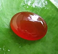 Bacan King Obi Merah Kristal