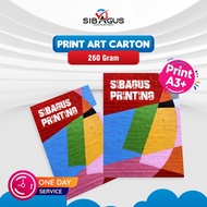 Print A3+ 1 side | Hvs Printing, Art Paper, Art Cartoon | Print Brochures, Posters, A3+ Size