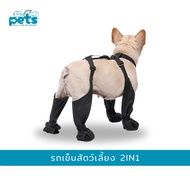 Dog Hiking Shoes Soil Protection Heat Resistant While Walking On Hot Roads