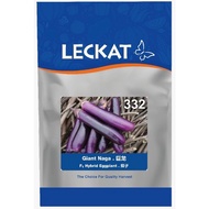 Benih Terung Panjang Giant Naga 332 F1 Hybrid Eggplant Leckat - ( 10g ) 👍 💯