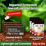 【100g】Potassium Dihydrogen phosphate Special Effect Flowering Fertilizer Flowering Booster Nutrient