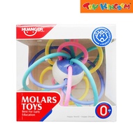 Huanger Molars Toys
