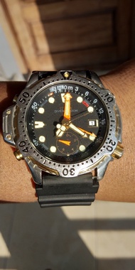 Jam Citizen Diver's Promaster Aqualand Original