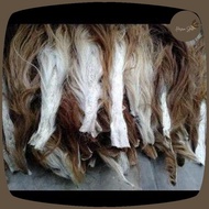 New Viral Cow Hair Latest Trendy 2025 AU-61