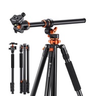 K&F Concept T254A7 + BH-28L Tripod
