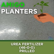 UREA Fertilizer 46-0-0 Prilled 2kg Amigo Planters