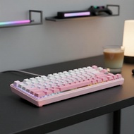 AULA S75Pro 75% Wireless Mechanical Keyboard, Hot-Swappable RGB with PBT Keycaps & 4000mAh Battery