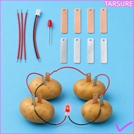 TARSUR Electricity Experiments Science Kit, Potato Powered STEM Experiment Kit Fruit Battery Science