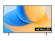 樂聲牌 - 樂聲 TV-55W95AGH 55吋4K MINI LED智能電視